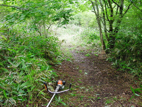 Photo0022
