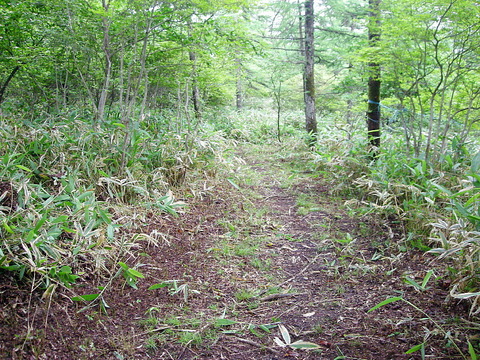 Photo0020