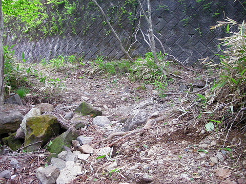 Photo0014