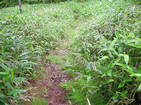 Photo0028