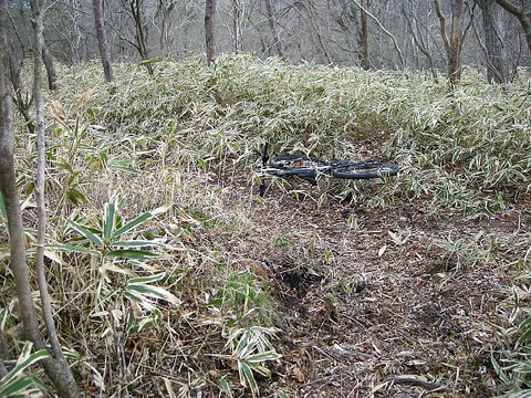 Photo0007