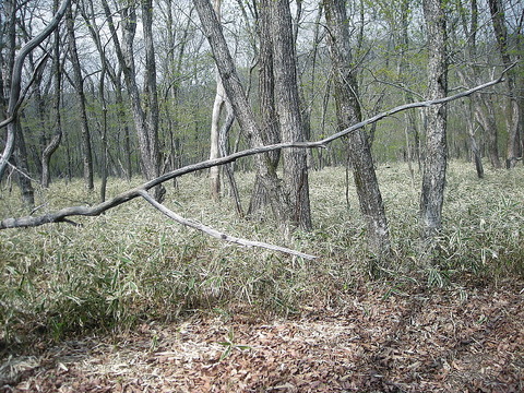 Photo0209