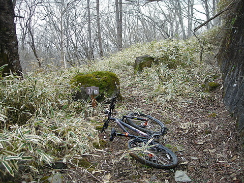 Photo0010