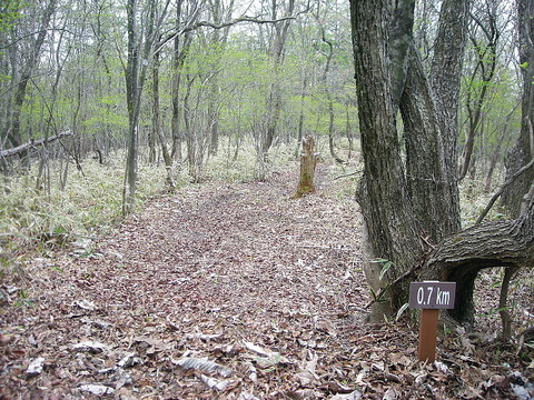 Photo0167