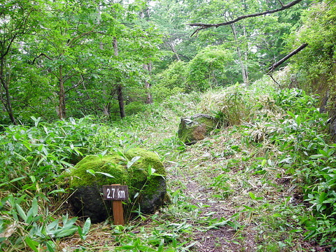 Photo0032