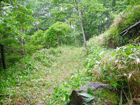 Photo0033