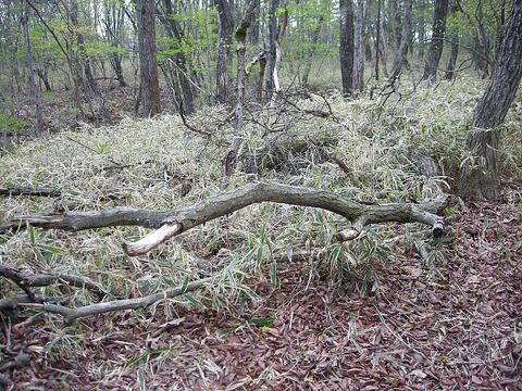 Photo0220