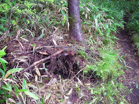 Photo0030