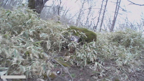 Photo0009
