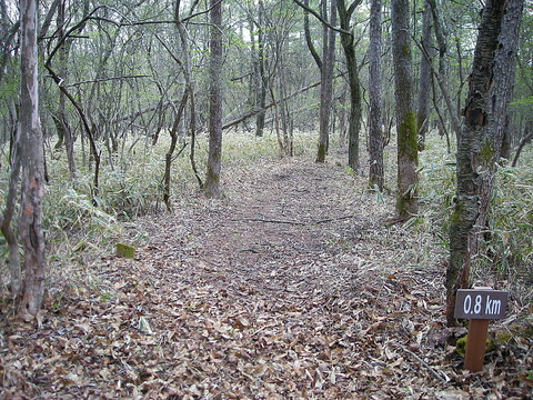 Photo0161