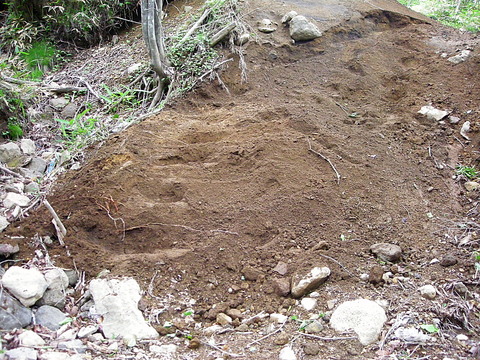 Photo0012