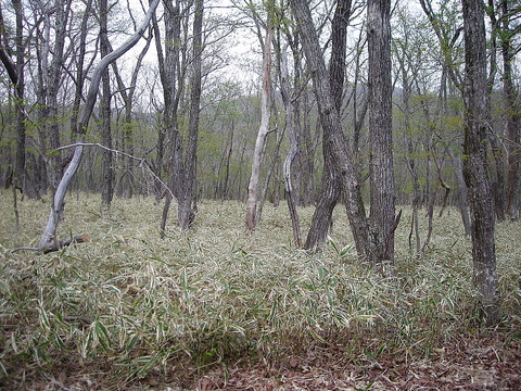 Photo0211