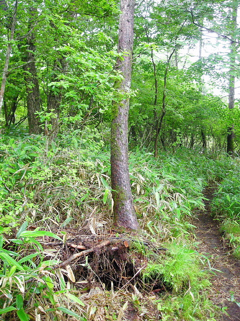 Photo0031