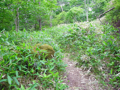 Photo0017