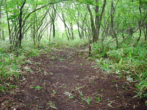 Photo0013