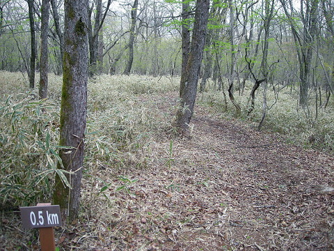 Photo0170