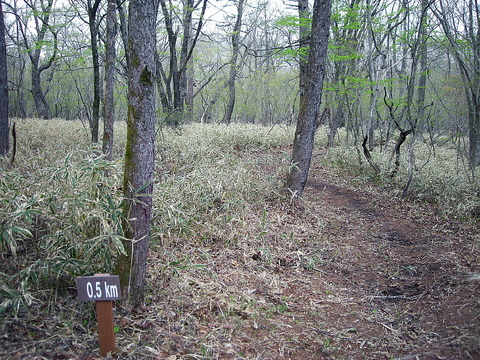 Photo0224
