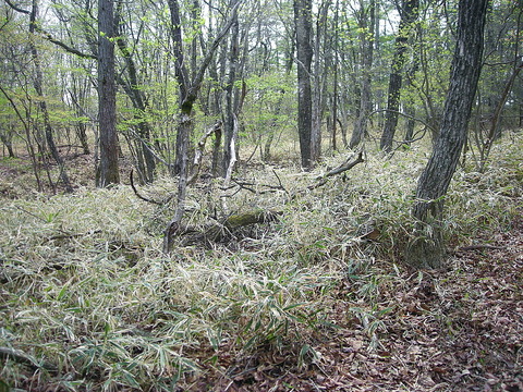 Photo0221