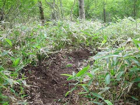Photo0011