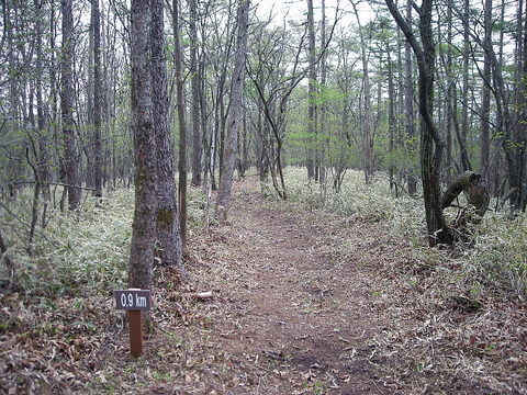 Photo0166