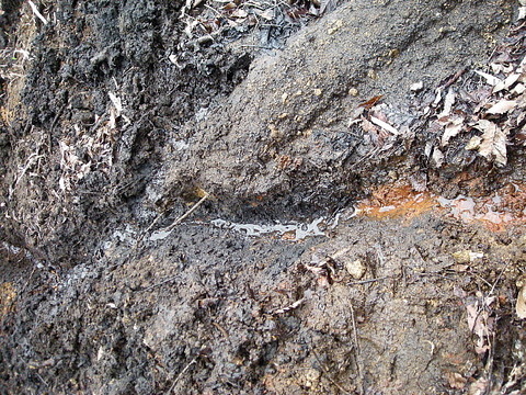 Photo0021