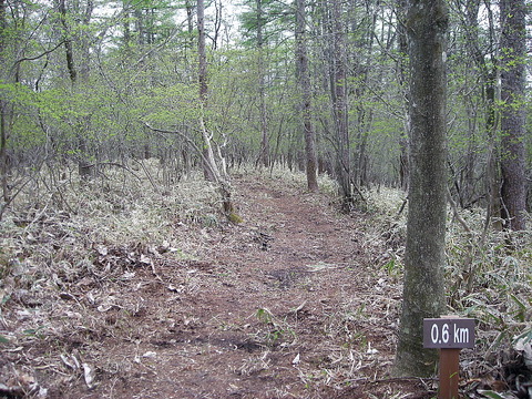 Photo0171
