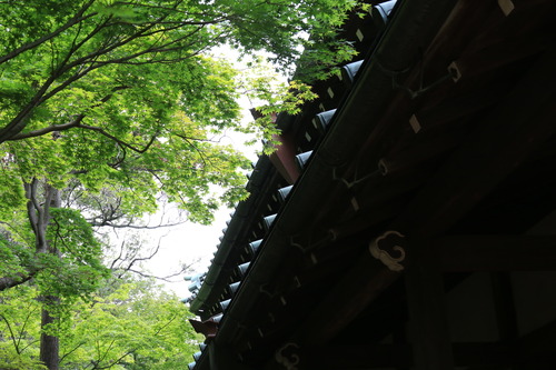 6243762032_IMG_7605