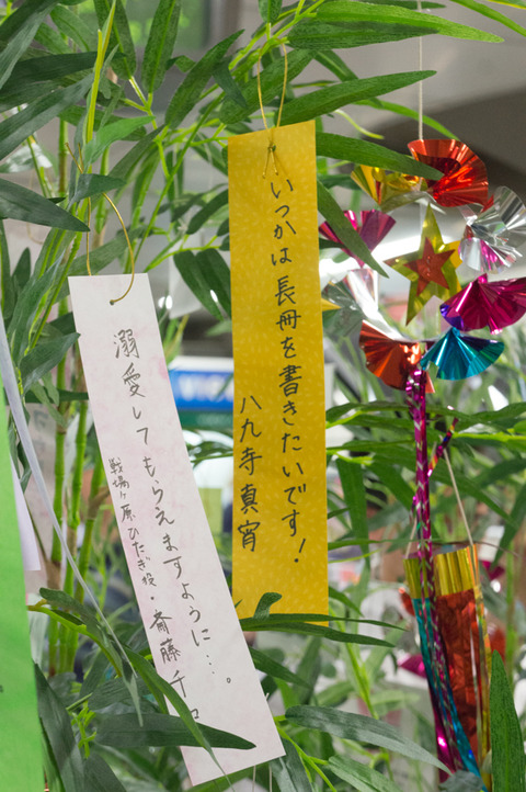 20130324-00876