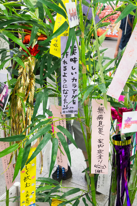 20130324-00879