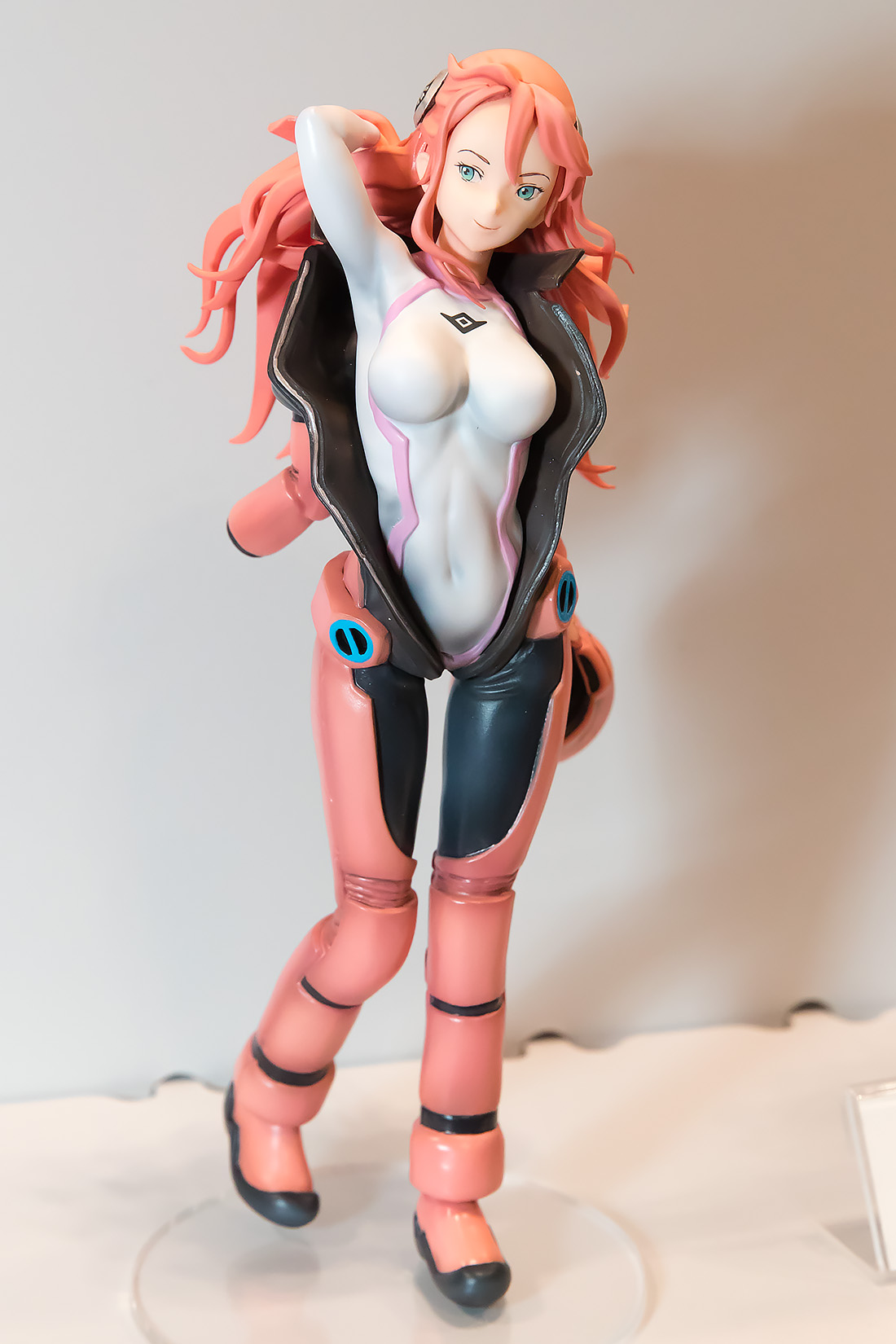 1DXL0307