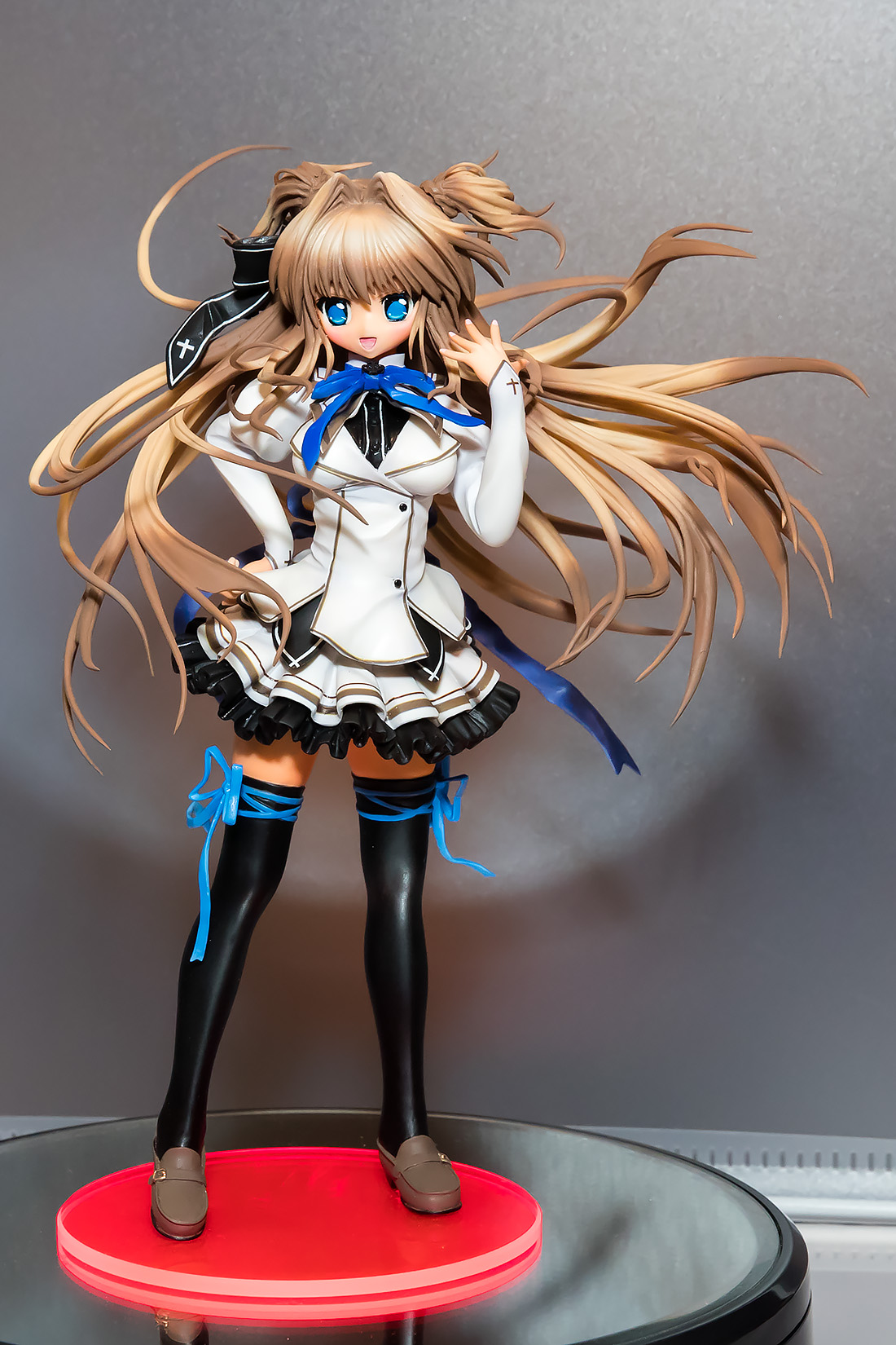 1DXL0245