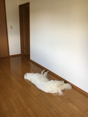 018