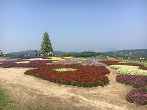 IMG_0102