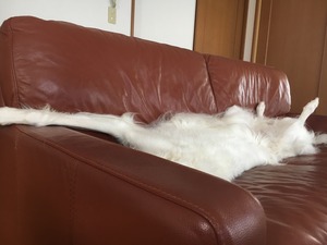 IMG_1813