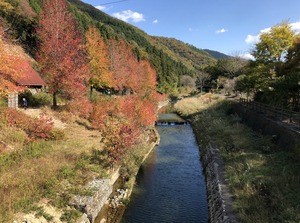 IMG_5873