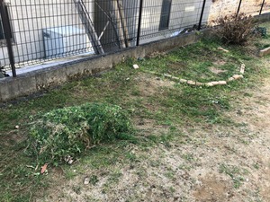 IMG_6947