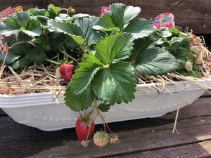 IMG_1802