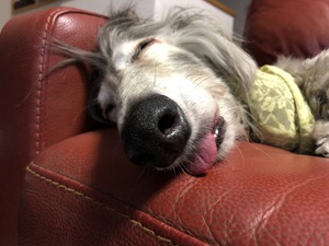 IMG_4082