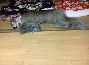 070