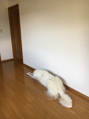 017