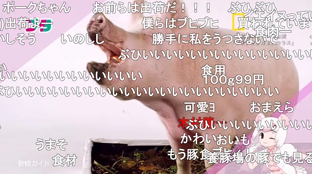 11話 (79)