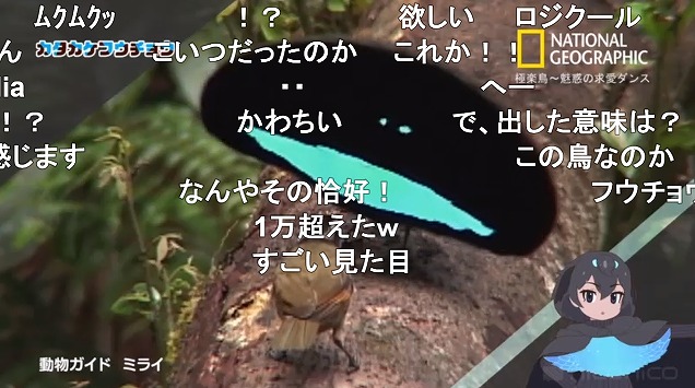 10話 (65)