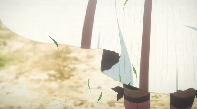 PV (34)