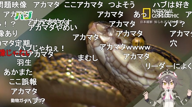 11話 (80)