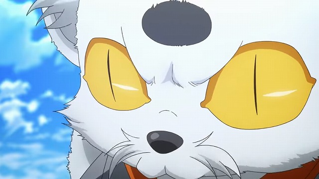 PV (23)