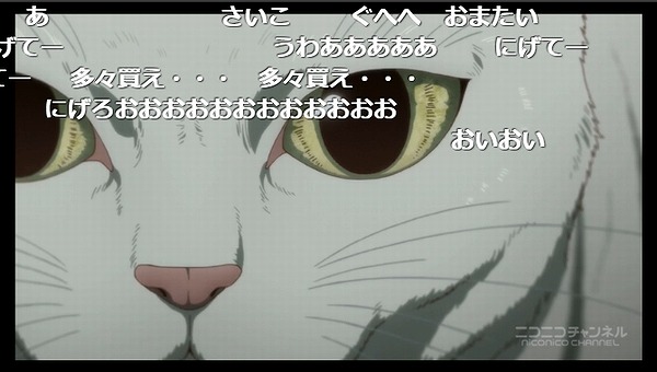 5話 (80)
