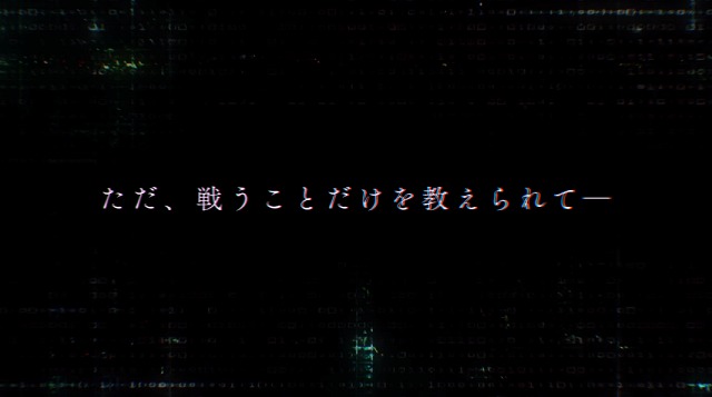 PV (13)