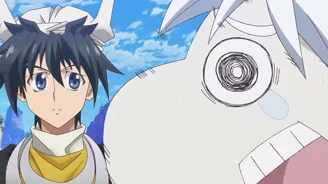 PV (12)