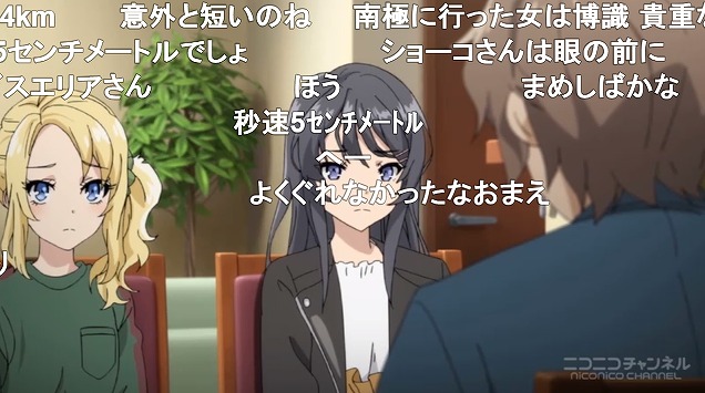 12話 (28)