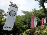 井伊直虎幟